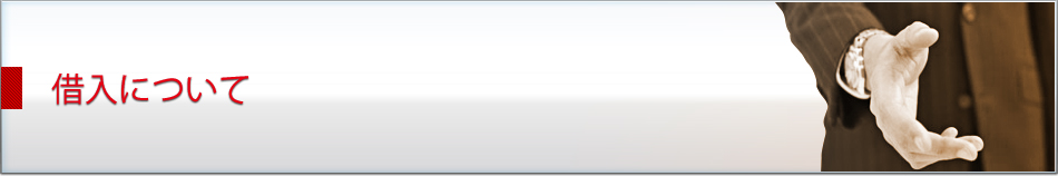借入について