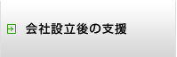 会社設立後の支援