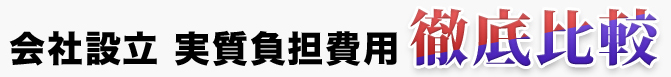 会社設立 実質負担費用 徹底比較
