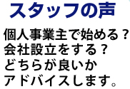 スタッフの声 個人事業主で始める？会社設立をする？どちらが良いかアドバイスします。